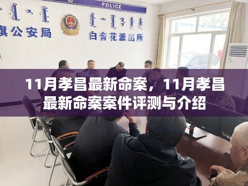 孝昌最新命案，案件评测与详细介绍