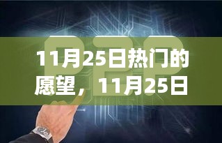 探寻热门愿望背后的故事，揭秘愿望背后的秘密，11月25日的愿望清单