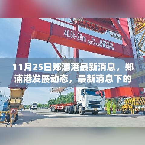 郑浦港最新发展动态与港口建设分析（最新消息版）