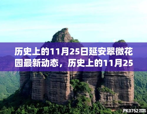 延安翠微花园，探寻自然美景之旅与心灵宁静启示的启示日动态更新