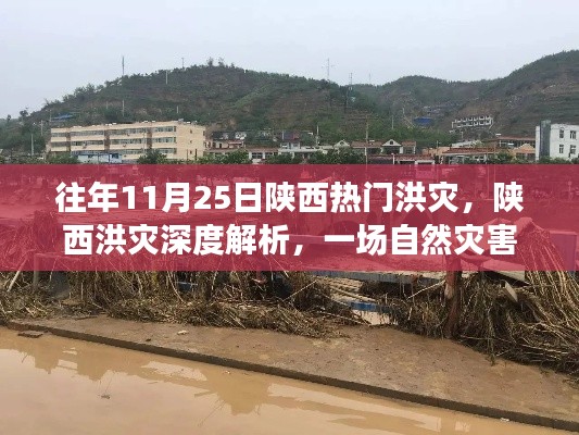 陕西洪灾背后的故事与启示，自然灾害深度解析及启示（热点事件回顾）