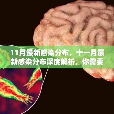 购物流程 第227页