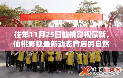 往年11月25日仙桃影视最新，仙桃影视最新动态背后的自然之旅，探寻内心的宁静与喜悦