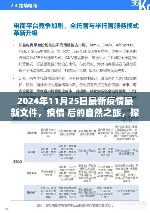 2024年疫情后的自然之旅，探索美景，寻找内心宁静的新篇章