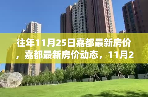 11月25日嘉都房价最新动态，观察、思考与房价走势