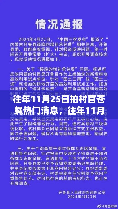 往年11月25日村官苍蝇热点事件深度解读与消息回顾