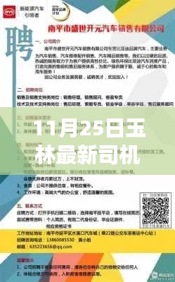 11月25日玉林最新司机招聘网，11月25日玉林最新司机招聘网全面评测与介绍