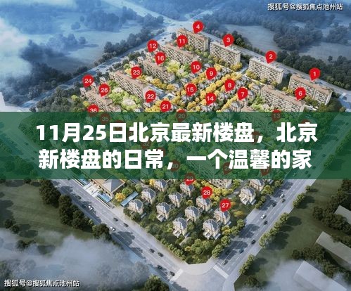 11月25日北京最新楼盘，北京新楼盘的日常，一个温馨的家与友情的邂逅