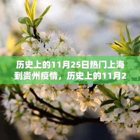 历史上的11月25日，上海至贵州疫情应对全攻略揭秘
