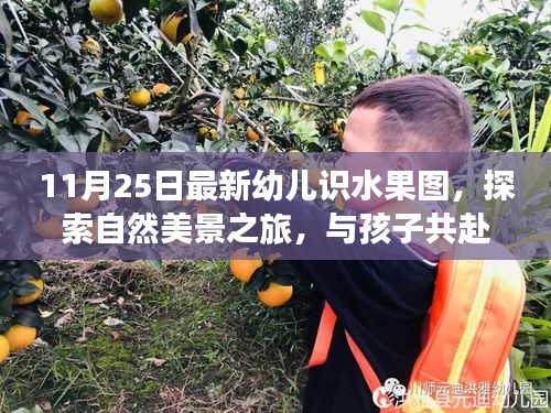 幼儿水果探索之旅，与自然美景的邂逅，共赴水果盛宴的宁静平和时光