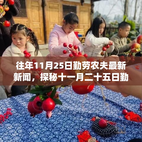 探秘十一月二十五日勤劳农夫背后的故事，美食秘境与小巷深处的特色美食之旅