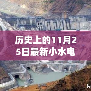 历史上的11月25日小水电站拍卖信息解析及最新动态