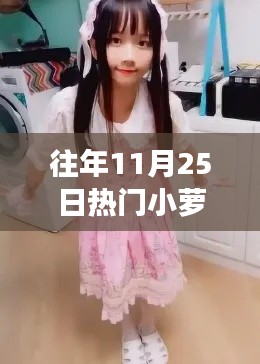 深度解析，往年11月25日热门小萝莉现象与观点阐述