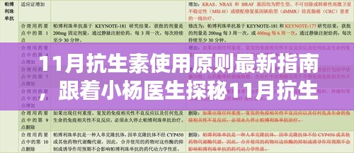 11月抗生素使用原则最新指南，小杨医生带你探秘友情与温馨的用药魔法