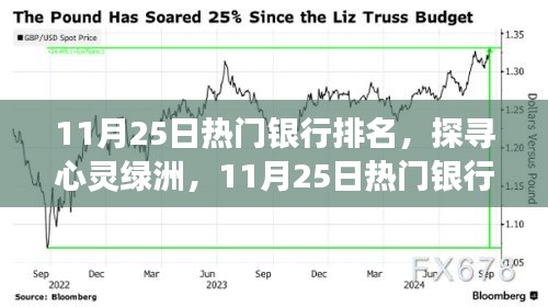 新手上路 第223页
