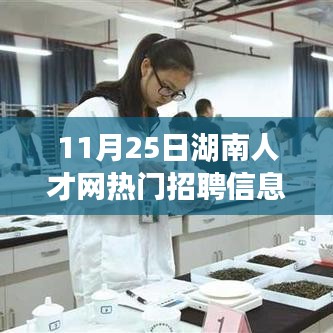 常见问题 第222页