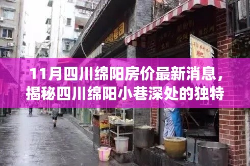 11月四川绵阳房价最新消息，揭秘四川绵阳小巷深处的独特小店，房价背后的故事与惊喜发现