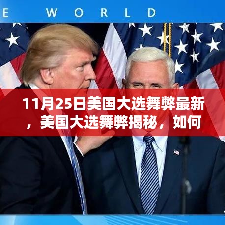 美国大选舞弊揭秘，从初学者到进阶用户的深入了解指南（11月25日最新动态）