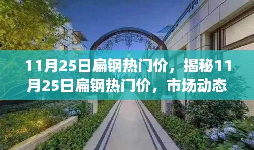 揭秘，11月25日扁钢市场动态与热门价格解析