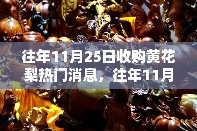 往年11月25日收购黄花梨热门消息，往年11月25日黄花梨收购热门消息全面评测