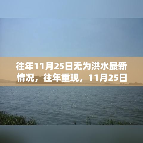 历年11月25日无为洪水最新情况深度解析，亲历一线抗洪历程
