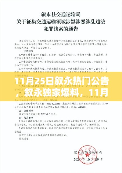 11月25日叙永热门公告，叙永独家爆料，11月25日热门公告全解析，快来一探究竟！