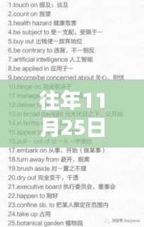 往年11月25日英语高考必备词典精选指南