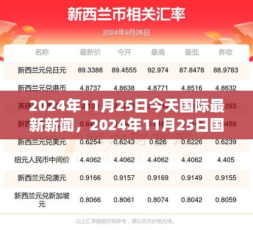 2024年11月25日国际最新新闻综述与某某观点探析