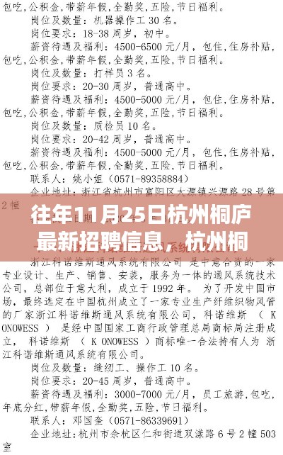 往年11月25日杭州桐庐最新招聘信息，杭州桐庐，最新招聘信息回顾与影响分析
