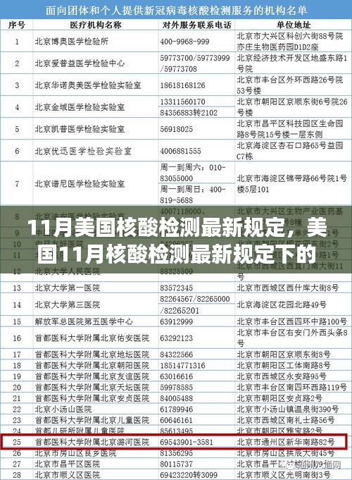11月美国核酸检测最新规定，美国11月核酸检测最新规定下的权衡与挑战