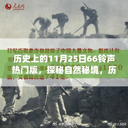 11月25日，探秘自然秘境，钟声与自然的交织之旅