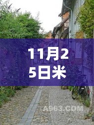 11月25日米加小镇最新穿搭推荐，米加小镇前沿风尚，11月25日最新穿搭科技新品，体验未来生活新纪元