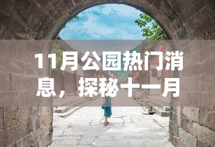探秘十一月公园小巷特色小店，隐藏瑰宝的独特魅力