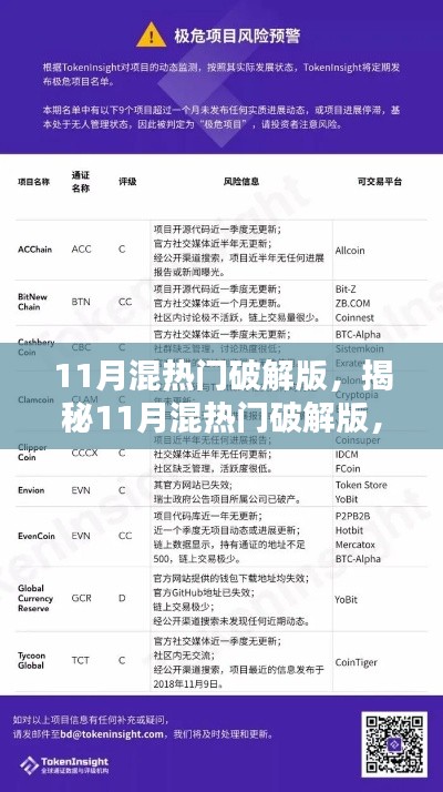 揭秘揭秘11月混热门破解版，风险警示与真相探索