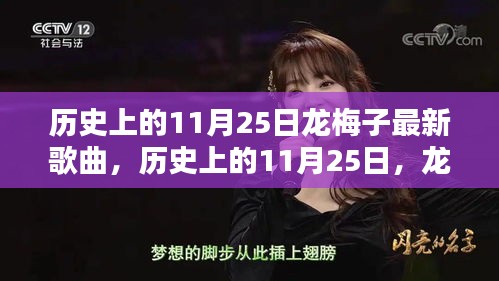 龙梅子最新歌曲揭秘，历史上的11月25日深度解析
