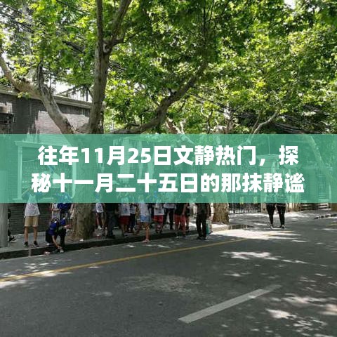 探秘十一月二十五日文静繁华，小巷特色小店之旅