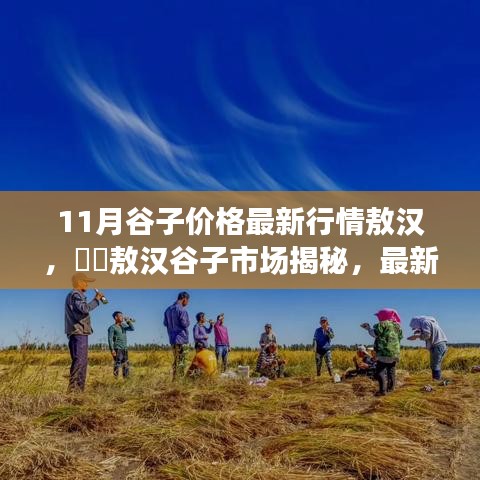 敖汉谷子市场深度解析，最新行情揭秘与谷子价格小红书版解析