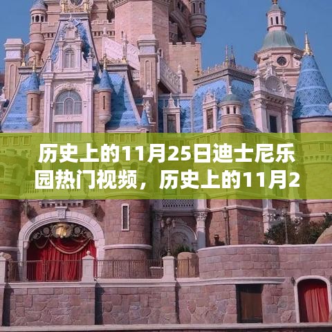 11月25日迪士尼乐园热门视频的影响力及其历史探析
