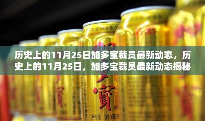 历史上的11月25日加多宝裁员最新动态，历史上的11月25日，加多宝裁员最新动态揭秘