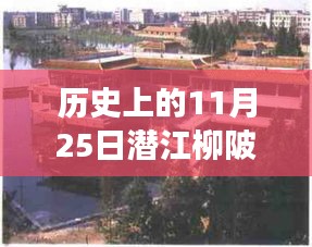 探寻潜江柳陂新村，历史上的11月25日热门事件全解析之旅