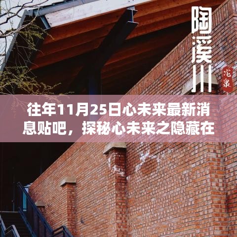揭秘心未来独特风味，往年11月25日最新消息贴吧探秘之旅