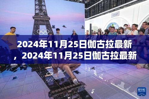 深度解析，伽古拉最新动态与观点