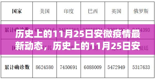 历史上的11月25日安徽疫情动态，智能监控系统的革新之旅背后的科技力量