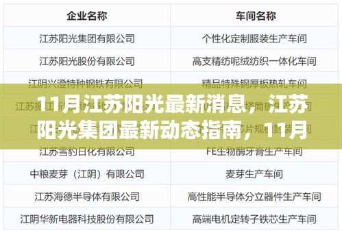 江苏阳光集团最新动态指南，11月消息全解析