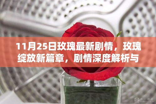 玫瑰新篇章揭秘，剧情深度解析与观点碰撞的绽放时刻（11月25日最新剧情）