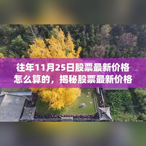 往年11月25日股票最新价格怎么算的，揭秘股票最新价格计算过程，以11月25日为例