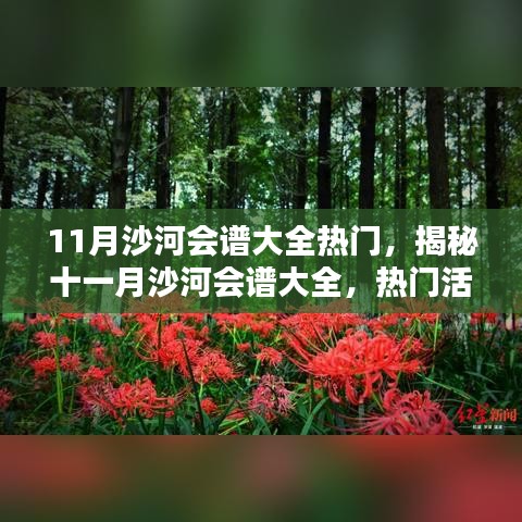 揭秘十一月沙河会谱盛典，热门活动与精彩盛宴一网打尽！小红书带你玩转精彩体验之旅
