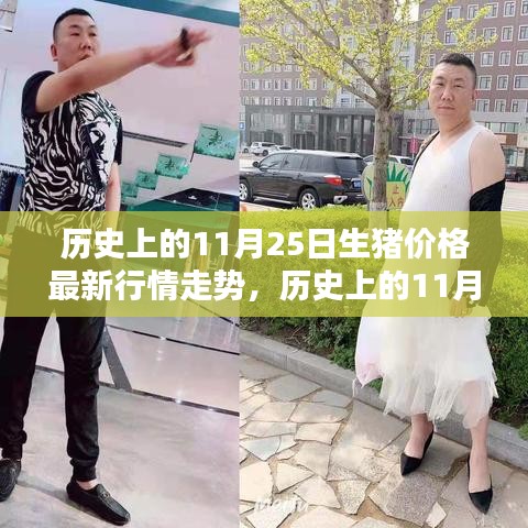 历史上的11月25日生猪价格行情走势及分析