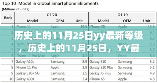 历史上的11月25日YY最新等级全面解析与回顾
