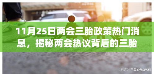 揭秘两会热议背后的三胎政策，特色小店视角下的政策解读与探秘之旅